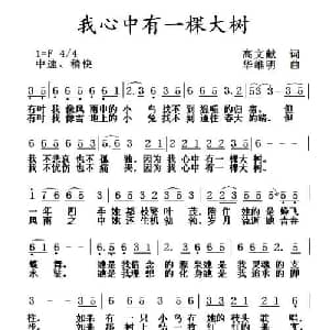 我心中有一棵大树_通俗唱法乐谱_词曲:高文献 华维明