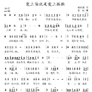 爱上你就是爱上孤独_通俗唱法乐谱_词曲:刘凤阁 柴欣