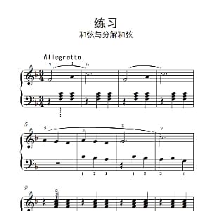 练习 和弦与分解和弦 钢琴谱