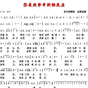 你是我梦中的相思豆_通俗唱法乐谱_词曲:秋吉旺姆 赵秀富