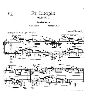 53首以肖邦练习曲为素材而作的练习曲 钢琴谱 里奥鲍尔德 戈多夫斯基