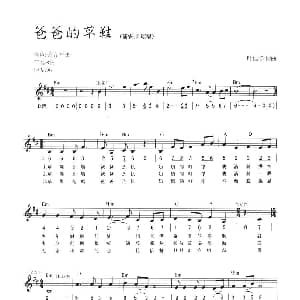 电子琴谱 | 爸爸的草鞋 线简混排弹唱谱 叶佳修 叶佳修