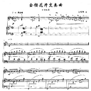 琵琶谱 | 金樱花开变奏曲 吕军辉