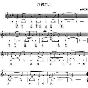 邦锦花儿_民歌简谱