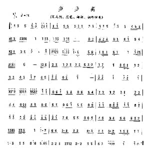 步步高 广东乐曲
