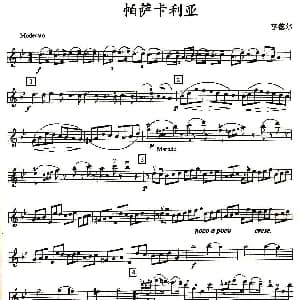 小提琴谱 | 帕萨卡利亚 四重奏之第一小提琴