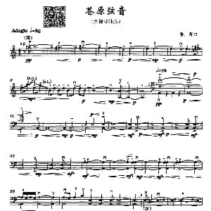 苍原弦音 大提琴独奏 张昕