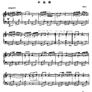 手风琴谱 | 小丛林 西拉里