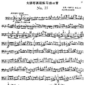 大提琴高级练习曲40首 No.25 戴维 波帕尔