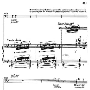 图兰朵公主 三幕五场歌剧_外国歌谱_词曲: 普契尼