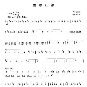 雪原红缨 唢呐谱