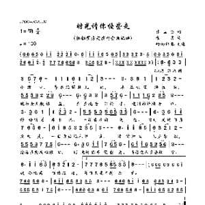 时光请你慢些走_歌曲简谱_词曲:张国强 黄勇