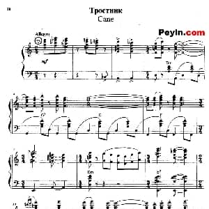 手风琴谱 | 芦苇 弗拉索夫