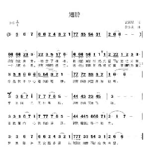 翅膀_通俗唱法乐谱_词曲:衷新星 黄金永