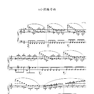 a小调练习曲 钢琴谱 曹博来