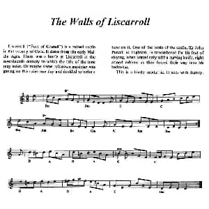 小提琴谱 | The Walls of Liscarroll 爱尔兰民歌