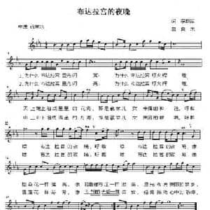 布达拉宫的夜晚_民歌简谱_词曲:李小军 良木
