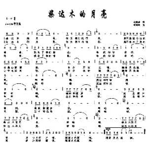 柴达木的月亮_歌曲简谱_词曲:赵鹏豪 周耀斌