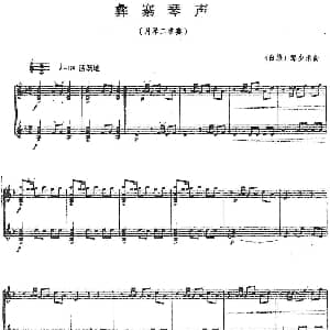 彝寨琴声 月琴二重奏 白族 那少承