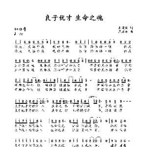 良子优才.生命之魂_歌曲简谱_词曲:王建良 周永财