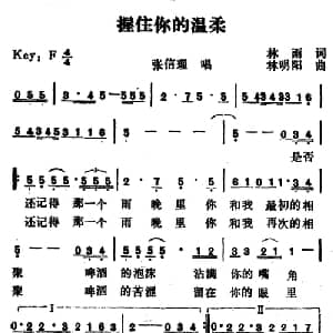 握住你的温柔_通俗唱法乐谱_词曲:林雨 林明阳