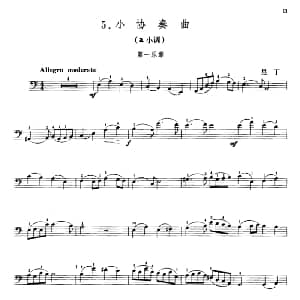 里丁小协奏曲 a小调 大提琴 里丁