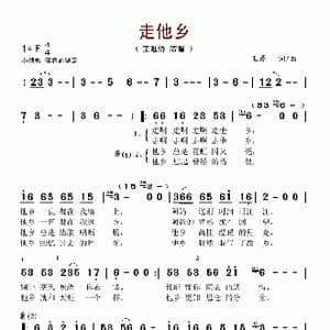 走他乡_歌谱投稿_词曲:王磊 王磊