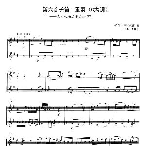 长笛曲谱 | 第六首长笛二重奏 G大调 卡尔 斯塔米茨