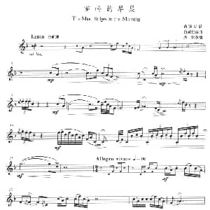 苗岭的早晨 小号