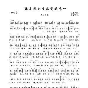 你是我今生不变的唯一_歌曲简谱_词曲:王春花 武薪蓓