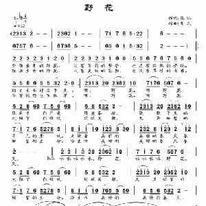 野花_通俗唱法乐谱_词曲:苑冰 南风