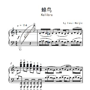 蜂鸟 钢琴谱