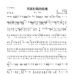 ​不被打扰的玫瑰_歌曲简谱_词曲:周兵 路勇