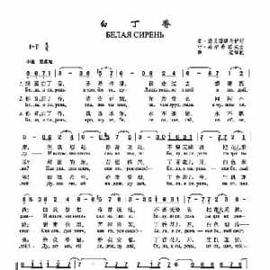 白丁香_歌谱投稿