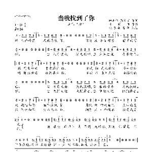 当我找到了你_歌曲简谱_词曲:田志仁 张宝宇 甘世佳