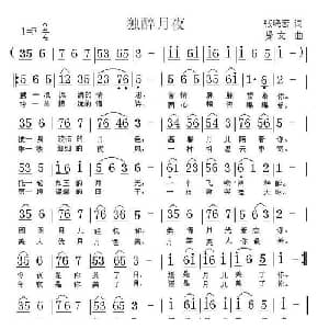 独醉月夜_通俗唱法乐谱_词曲:张晓宏 贤文
