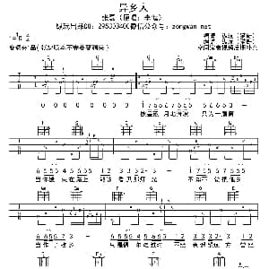 异乡人 吉他谱 李健原唱 张磊翻唱 纵玩猫哥制谱