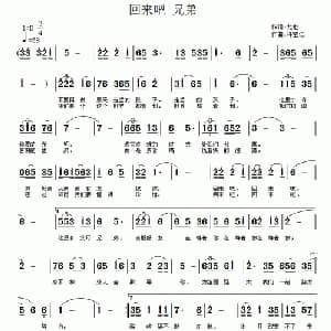 回来吧 兄弟_通俗唱法乐谱_词曲:龙也 许宝仁