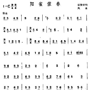 阳雀催春 苗族唢呐