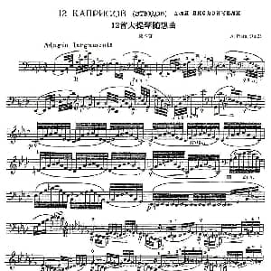 A. Piatti 12 Caprice Op.25 皮阿蒂 12首大提琴随想曲 第六