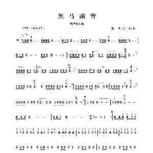 黑马踏青_歌谱投稿_词曲:陈明曲