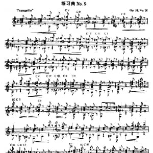 费尔南多 索尔 古典吉他练习曲 No.9 吉他谱 ​费尔南多 索尔 Fernando Sor 1778 1839