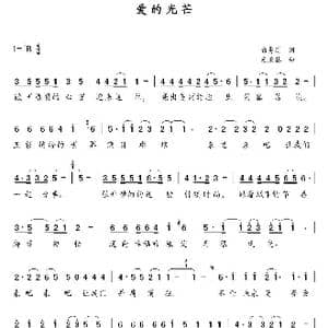 爱的光芒_歌曲简谱_词曲:甄勇刚 程秉林