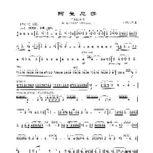 阿曼尼莎_歌谱投稿_词曲: 王丹红作曲