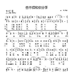 舍不得和你分手_歌曲简谱_词曲:湛才 湛才