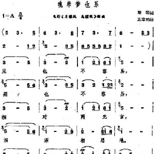 魂牵梦也系_通俗唱法乐谱_词曲:琼瑶 左宏元