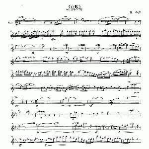 长笛曲谱 | 山歌 为长笛独奏而作 毕波