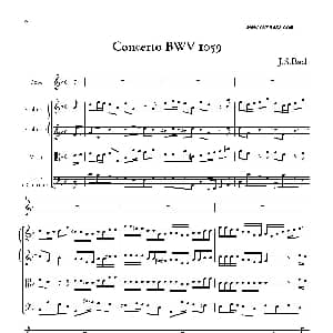 Concerto BWV 1059 双簧管与弦乐D小调协奏曲 巴赫