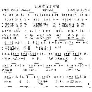 因为有你才幸福_歌曲简谱_词曲:杜思雨 孙卫东
