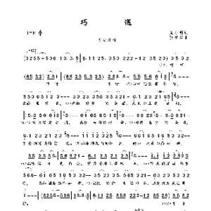 巧遇_歌曲简谱_词曲:袁小明 张翠萍